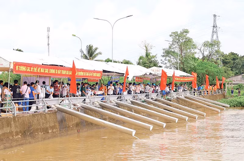 Hoạt động thả cá về tự nhiên nhằm đa dạng nguồn lợi thủy sản được tổ chức tại thành phố Cần Thơ.