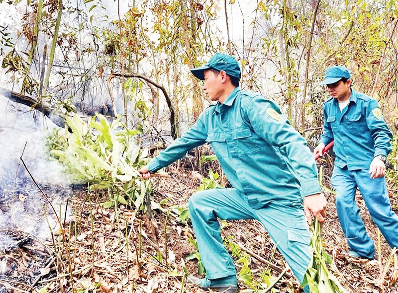 Lực lượng kiểm lâm tỉnh Thái Nguyên thường xuyên diễn tập phòng cháy, chữa cháy rừng.