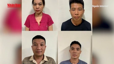 [Video] Triệt phá đường dây tuồn thịt nhiễm dịch tả lợn châu Phi tại Thanh Hóa