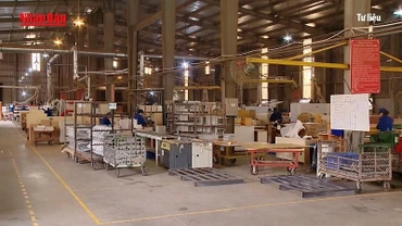 [Video] Xuất khẩu tăng tốc, doanh nghiệp chủ động thích ứng thị trường