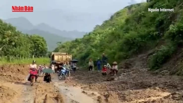 [Video] Bảo đảm an toàn đê điều ứng phó lũ tại Thanh Hóa, Nghệ An, Hà Tĩnh