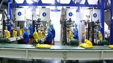 [Video] Giá gạo xuất khẩu Việt Nam giảm gần 19% trong 5 tháng đầu năm