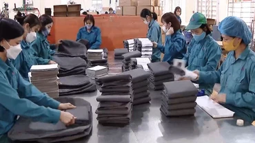 [Video] Hơn 1,3 triệu thanh niên không đi học, không đi làm