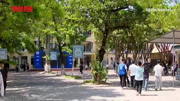 [Video] Chính thức công bố điểm chuẩn tuyển sinh đại học, cao đẳng năm 2025