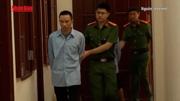 [Video] Khởi tố 5 bị can trong vụ giết mổ, buôn bán thịt lợn nhiễm bệnh