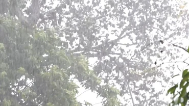 [Video] Mưa lớn cục bộ, cảnh báo lũ quét và gió giật mạnh nhiều nơi