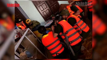 [Video] Lạng Sơn: Chủ động ứng phó mưa lớn, ngập úng cục bộ