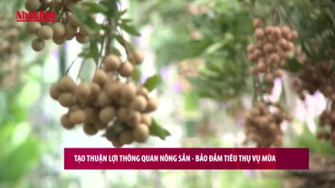 [Video] Tạo thuận lợi thông quan nông sản – bảo đảm tiêu thụ vụ mùa