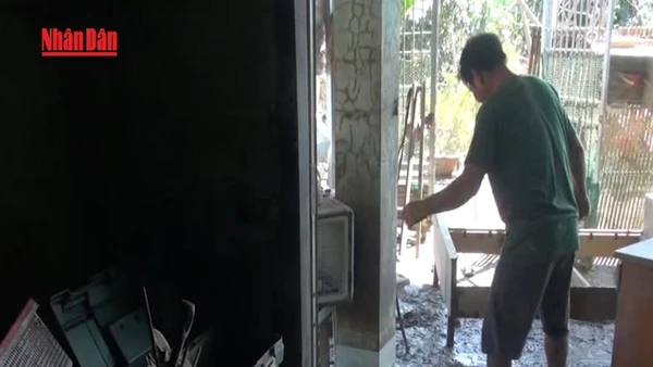 [Video] Người dân vùng lũ Lâm Đồng dọn dẹp nhà cửa, ổn định cuộc sống