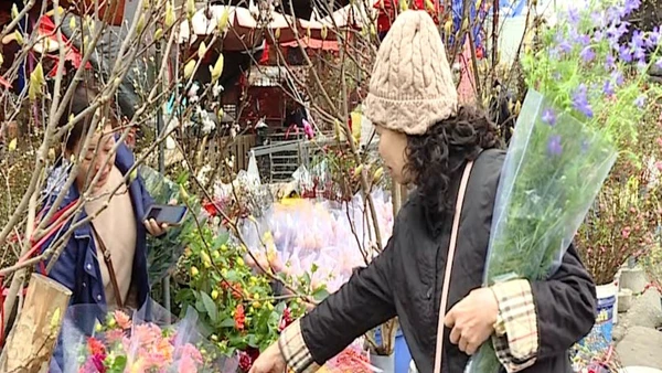 [Video] Chợ hoa Hà Nội nhộn nhịp trước Tết