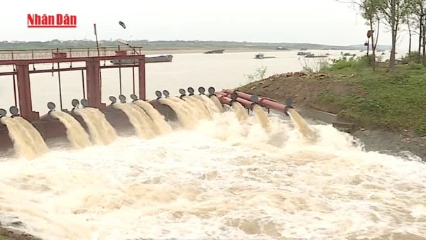 [Video] Chuẩn bị lấy nước từ hồ chứa sản xuất vụ Đông Xuân