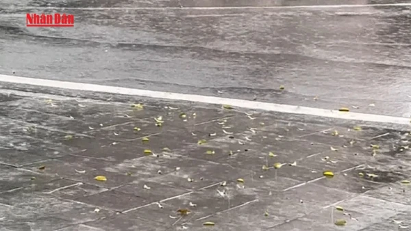 [Video] Không khí lạnh mạnh gây mưa lớn, Bắc Bộ và Bắc Trung Bộ chuyển rét 