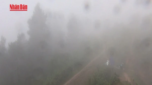 [Video] Bắc Bộ trở rét, vùng núi cao rét đậm trong ngày 3/12