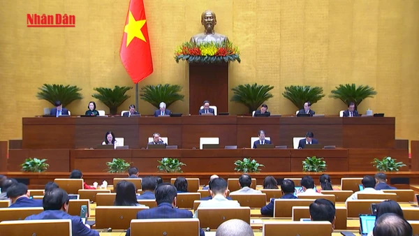 [Video] Tập trung kiểm toán chuyên đề và những lĩnh vực nóng được cử tri quan tâm