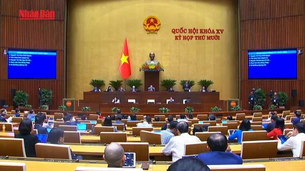 [Video] Hơn 96% vụ việc liên quan đến quy hoạch, quản lý và sử dụng đất đai đã được giải quyết