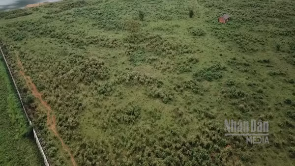 [Video] Bổ sung quy định hồ sơ miễn, giảm tiền thuê đất