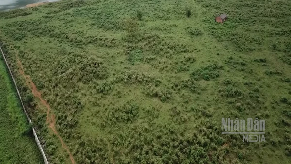 [Video] Bổ sung quy định hồ sơ miễn, giảm tiền thuê đất