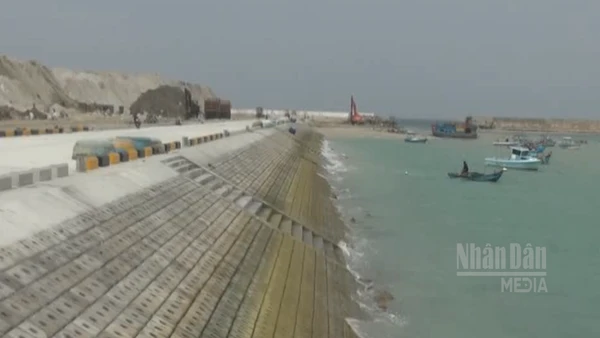 [Video] Hoàn thành khu neo đậu tránh trú bão tại đặc khu Phú Quý 