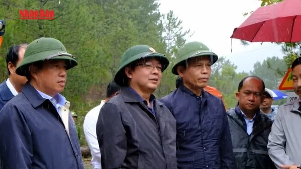 [Video] Khắc phục hậu quả thiên tai cho người dân Lâm Đồng 