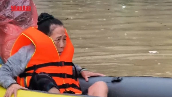 [Video] Hỗ trợ khẩn cấp 700 tỷ đồng khắc phục thiệt hại do mưa lũ