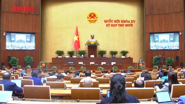 [Video] Luật Dự trữ quốc gia (sửa đổi): Bổ sung dự trữ chiến lược, đẩy mạnh phân cấp và xã hội hóa