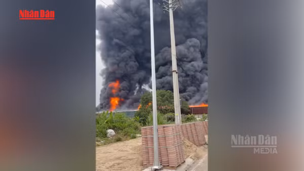 [Video] Dập tắt kịp thời cháy xưởng mút xốp ở Hưng Yên, không có thiệt hại về người