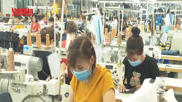 [Video] Năm 2026, thưởng tết bình quân tăng 13%