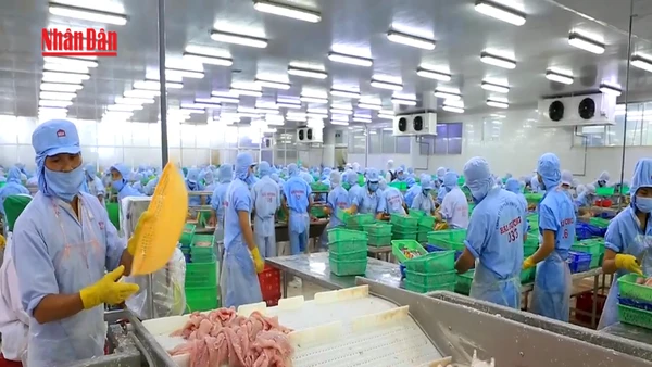 [Video] Xuất khẩu nông, lâm, thủy sản tăng gần 30% trong tháng đầu năm 2026