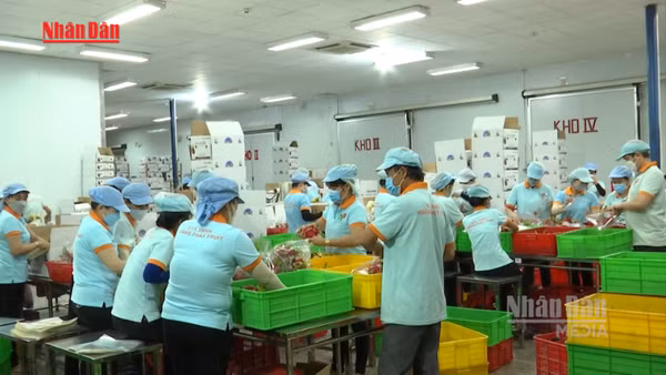 [Video] Duy trì đà tăng trưởng xuất khẩu nông sản