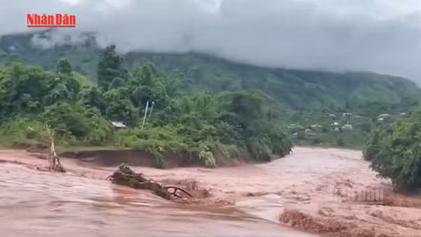 [Video] Mưa lớn gây thiệt hại về người và tài sản tại Lai Châu 