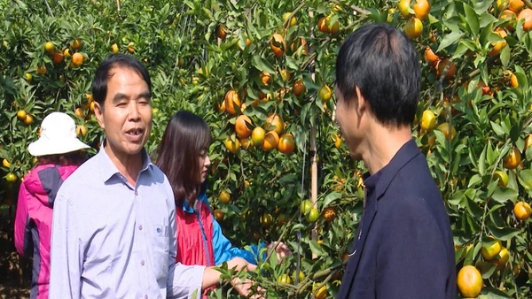 [Video] Hà Nội thu 2 tỷ USD từ xuất khẩu nông nghiệp