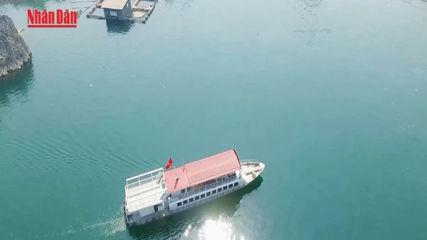 [Video] Tết Dương lịch 2026: Du lịch cả nước đón khoảng 3,5 triệu lượt khách