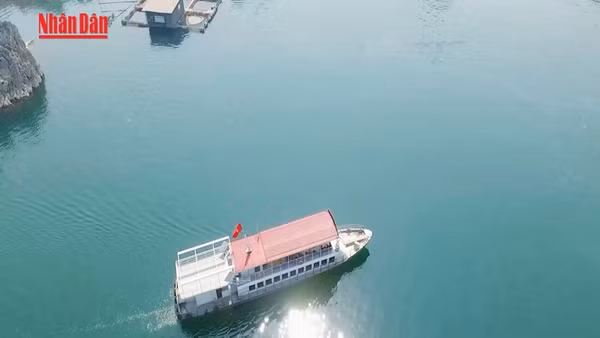 [Video] Tết Dương lịch 2026: Du lịch cả nước đón khoảng 3,5 triệu lượt khách