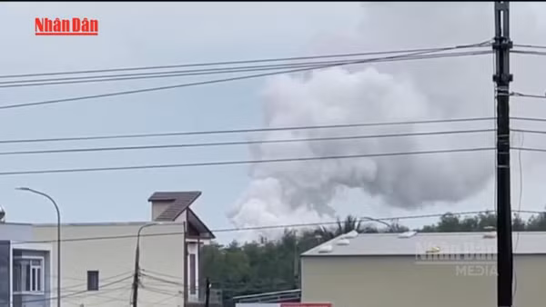 [Video] Quảng Ngãi dừng hoạt động Nhà máy Wood Pellets để khắc phục ô nhiễm khí CO 