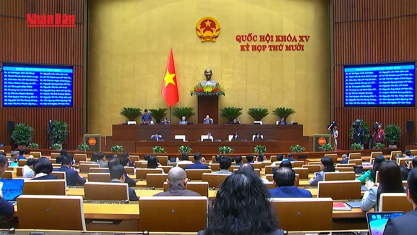 [Video] Kiến nghị cần có những chính sách đột phá về chế độ, tiền lương cho nhân viên y tế