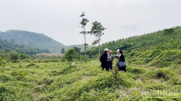 Nhiều cá nhân, tổ chức có diện tích đất nằm trong diện quy hoạch của Vườn quốc gia Ba Vì nhưng hơn 20 năm vẫn chưa nhận được thông báo thu hồi đất cũng như đền bù, hỗ trợ theo quy định.