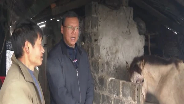 [Video] Ghi nhận mức nhiệt dưới 10 độ ở 17 tỉnh, thành 