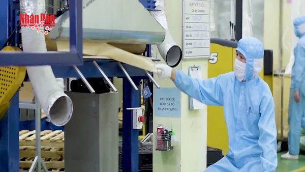 [Video] Các ngành nghề được dự báo “khát” lao động sau Tết 2026