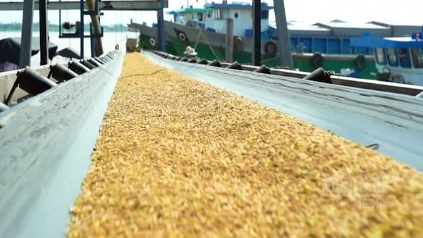 [Video] Gạo chất lượng cao, phát thải thấp – Trụ cột chiến lược năm 2026