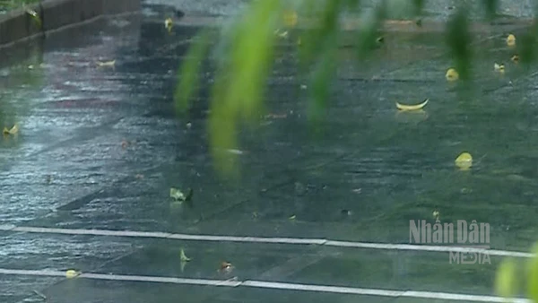 [Video] Không khí lạnh tăng cường, Bắc Bộ có mưa