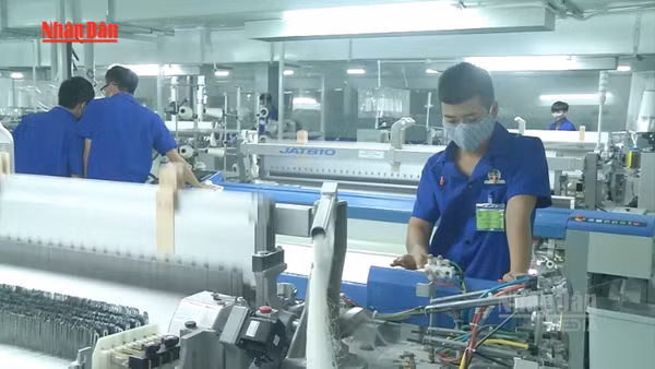 [Video] Ngành dệt may Việt Nam tái cấu trúc, tìm động lực tăng trưởng mới