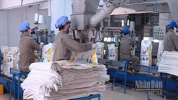 [Video] Doanh nghiệp, hiệp hội chung tay giữ nhịp sản xuất nông nghiệp