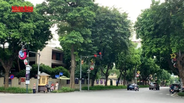 [Video] Hà Nội: Đèn tín hiệu chỉ hiển thị 8 giây cuối chu kỳ tại một số ngã tư 