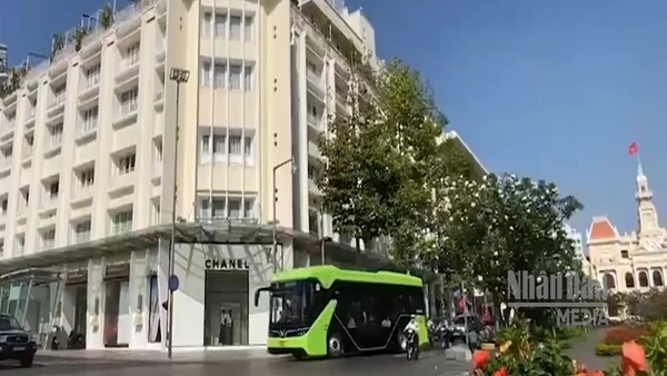 [Video] TP Hồ Chí Minh đưa 169 xe buýt điện vào vận hành từ ngày 1/3