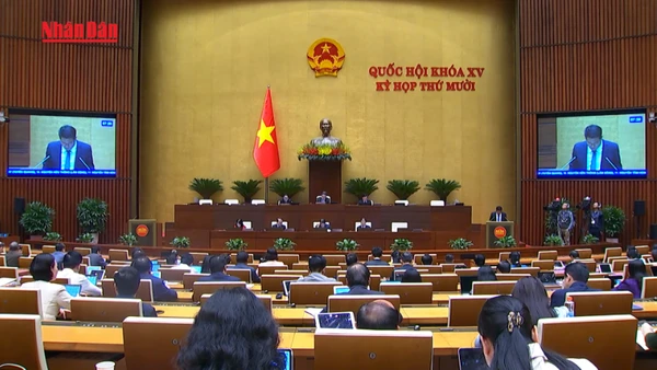 [Video] Tăng hiệu quả công tố và kiểm sát, hạn chế oan sai trong hoạt động tư pháp