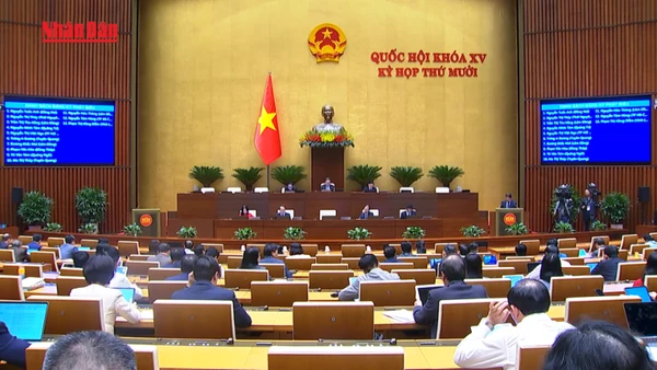 [Video] Siết quản lý, đẩy mạnh trấn áp tội phạm trong bối cảnh xuất hiện thủ đoạn mới