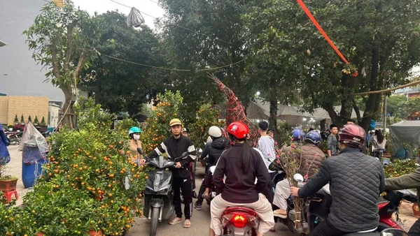 Thị trường đào, quất tấp nập vào ngày đầu nghỉ lễ.