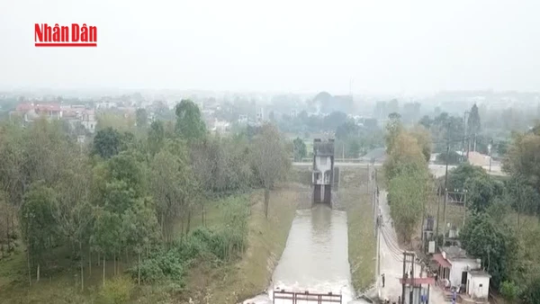 [Video Hơn 85% diện tích vụ Đông Xuân đã có nước sản xuất