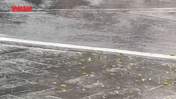 [Video] Miền Bắc rét diện rộng do không khí lạnh tăng cường