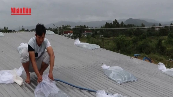 [Video] Chủ động, khẩn trương ứng phó bão số 13